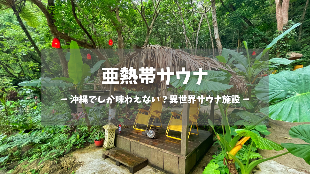 沖縄県「亜熱帯サウナ」の訪問レポートです