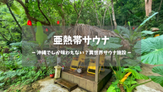 沖縄県「亜熱帯サウナ」の訪問レポートです