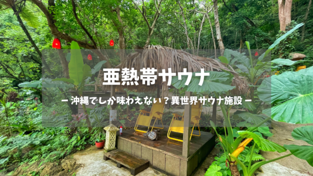 沖縄県「亜熱帯サウナ」の訪問レポートです