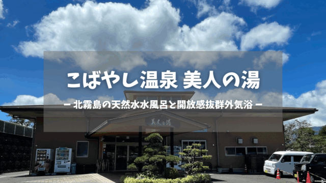 宮崎県「こばやし温泉 美人の湯」の訪問レポートです