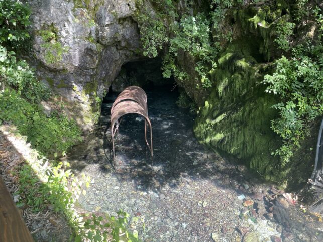 稲積水中鍾乳洞から湧き出る水