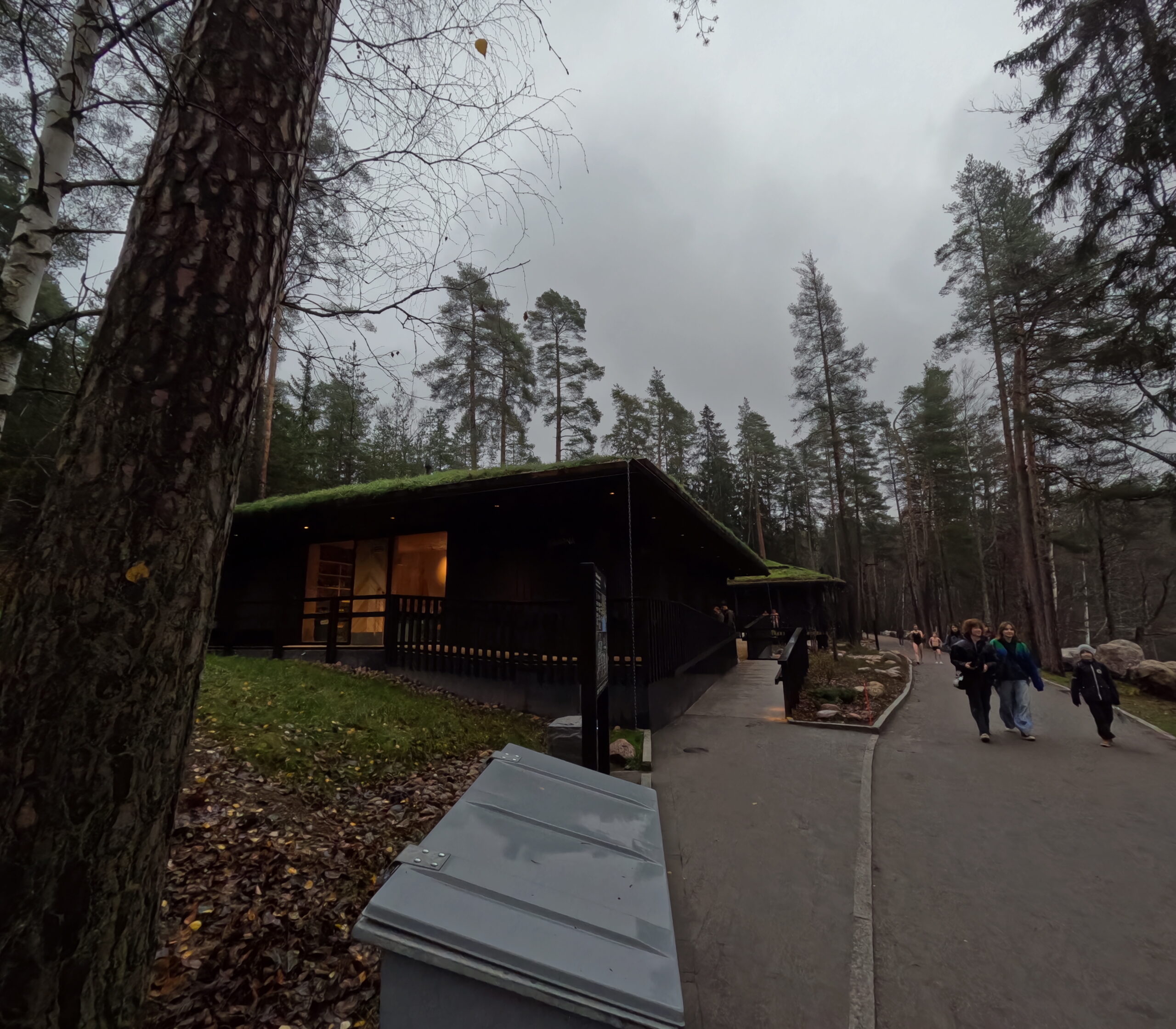 Kuusijärvi最新スモークサウナ棟外観｜草屋根の黒い外壁、針葉樹の森に囲まれたエコデザイン建築、訪問者が向かう様子｜ヴァンター市・フィンランド
