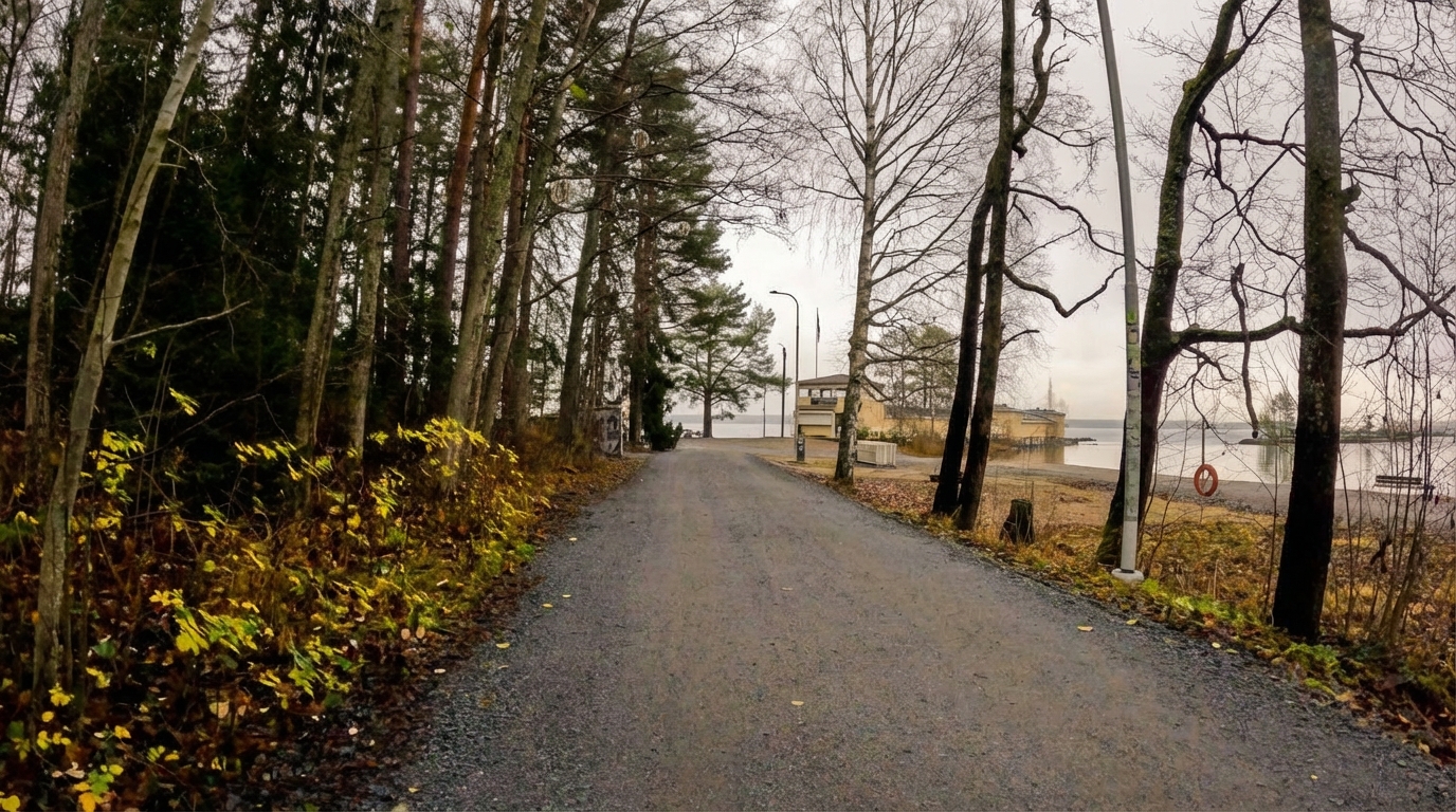 Rauhaniemi Folk Spaへ続く森の道｜針葉樹と白樺に囲まれた舗装道路、奥に黄色いサウナ施設と湖畔、落ち葉散る秋の景色｜バス停から徒歩15分の静かな散策路｜タンペレ
