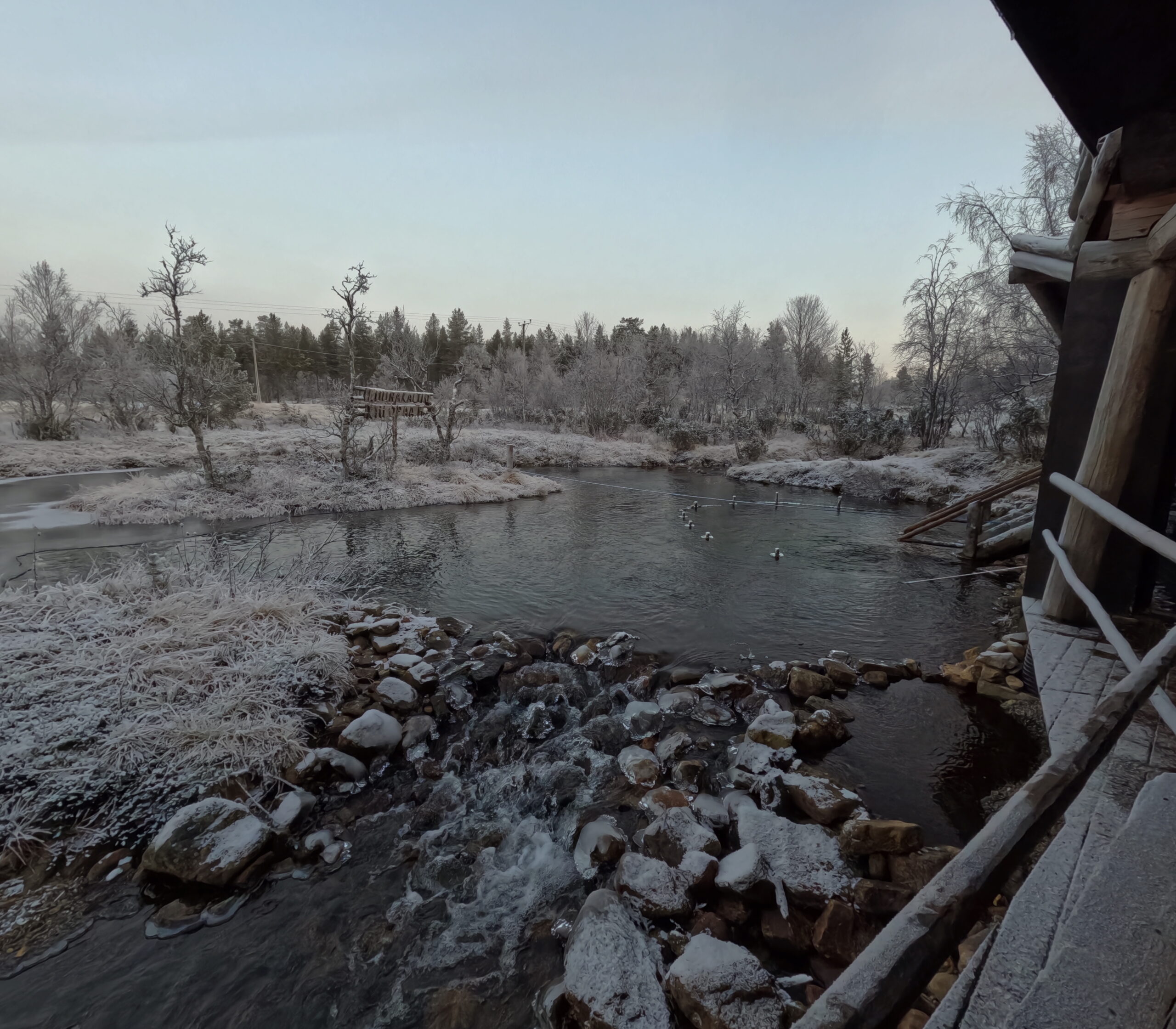 Kiilopää小川の水風呂エリア｜雪と氷に覆われた冬景色、流れる清流と針葉樹林、霜で白く染まった岸辺｜体験温2℃の天然水風呂｜フィンランド・サーリセルカ・北極圏